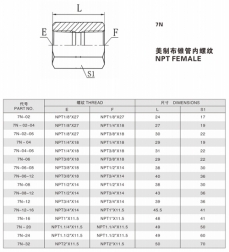 錐管螺紋管接頭—美制布錐管內(nèi)螺紋