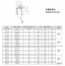 卡套式管接頭內(nèi)螺紋堵頭